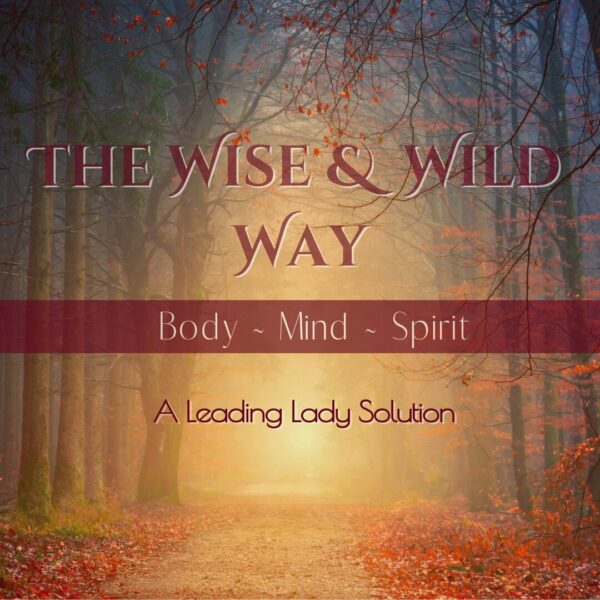 Workshop - Wise & Wild Way